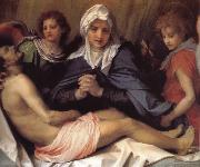 Andrea del Sarto Virgin Mary lament Christ oil painting reproduction